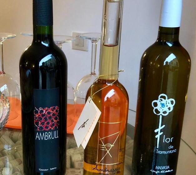 فندق Sa Plana Petit