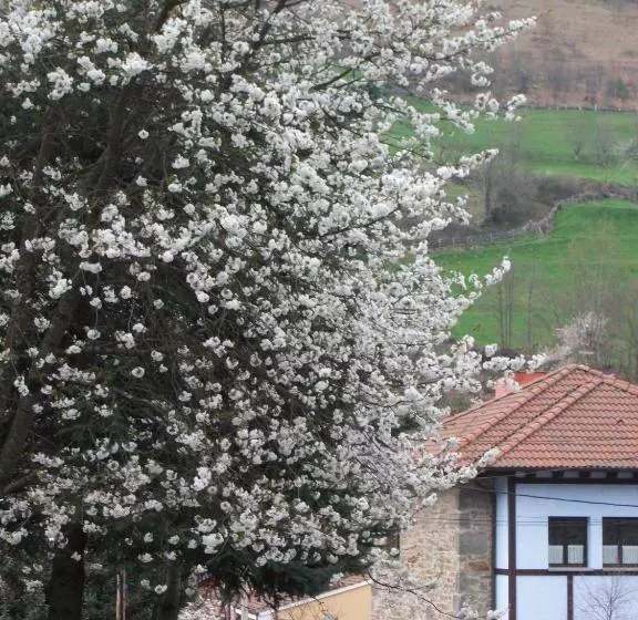 هتل Xabu Hostel