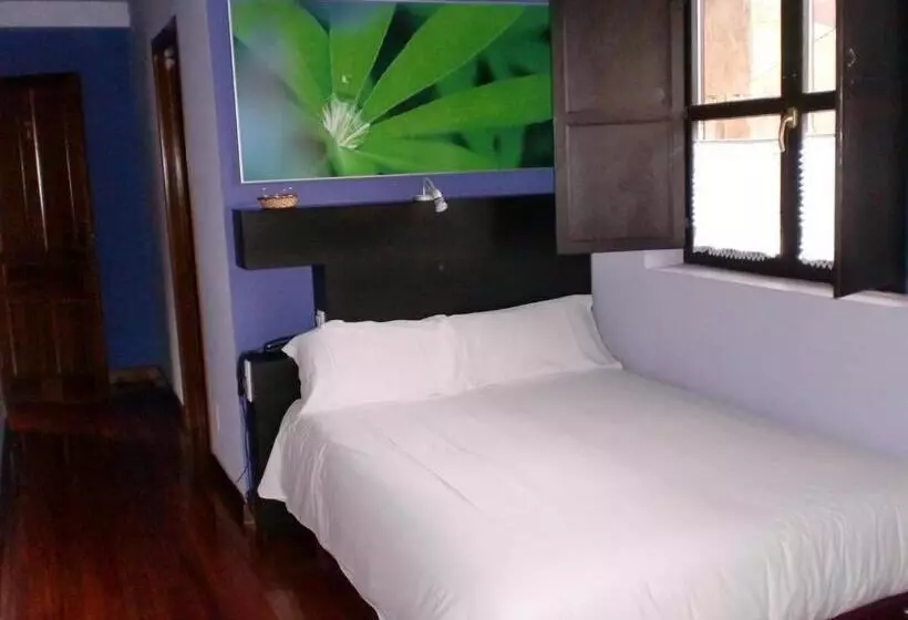 هتل Xabu Hostel