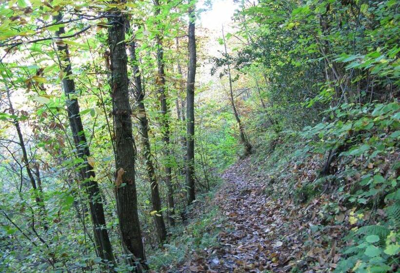 ホテル Xabu Hostel