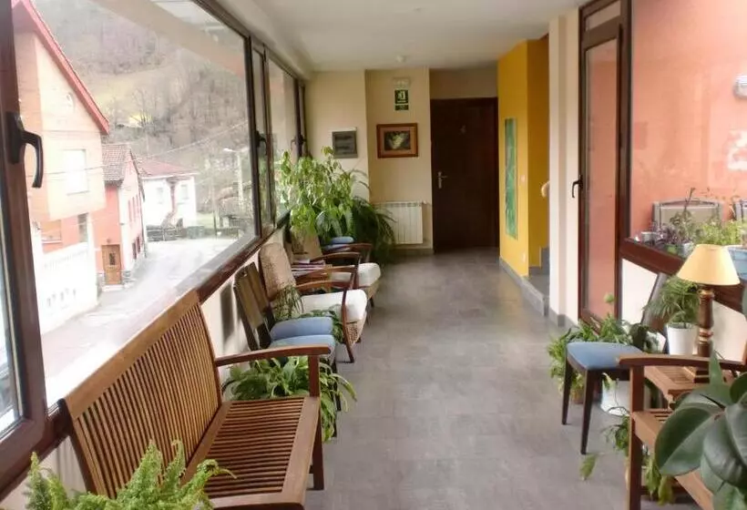 هتل Xabu Hostel