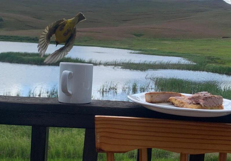 酒店 Eland Valley Resort