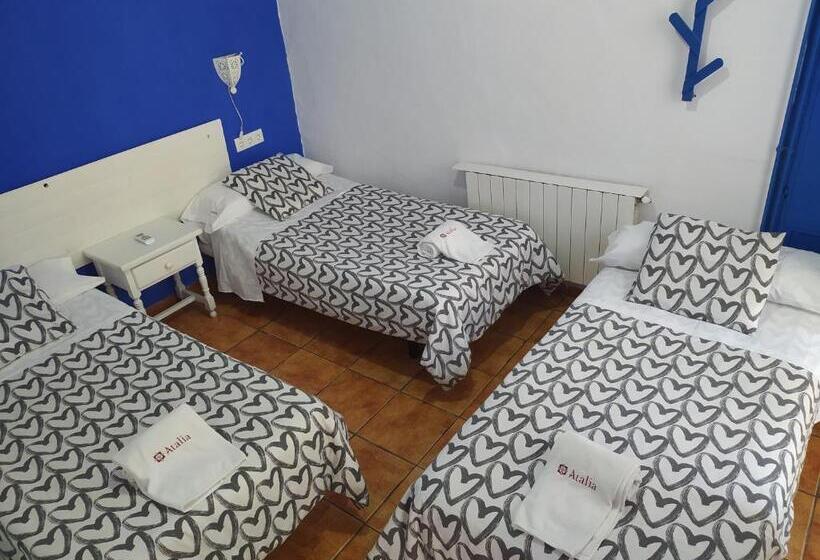 هاستل The Dreamers&co