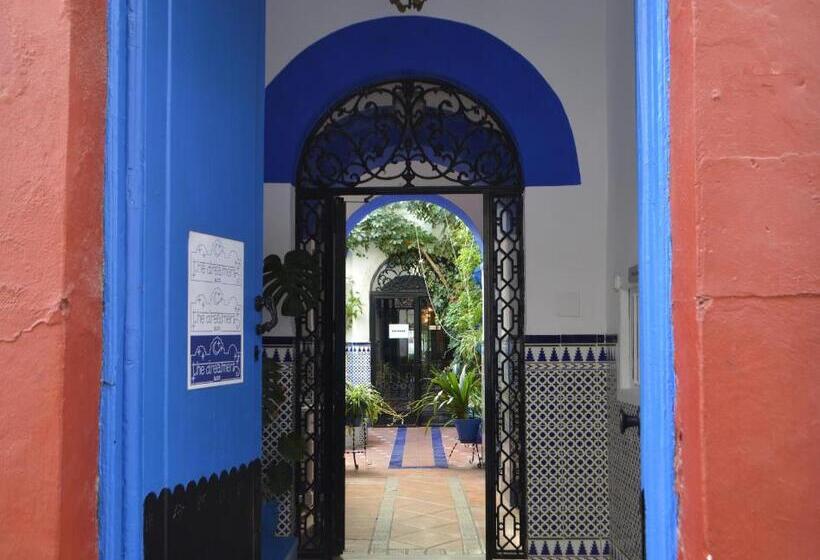 هاستل The Dreamers&co