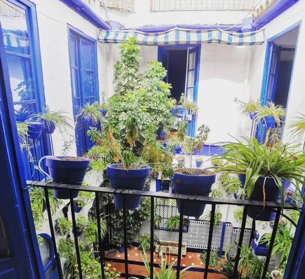 هاستل The Dreamers&co