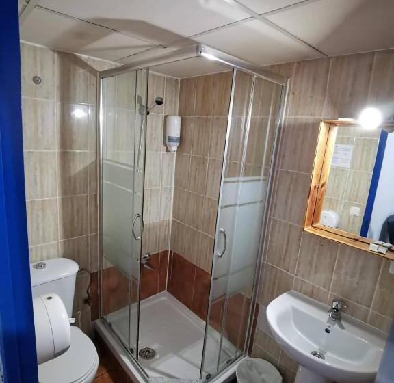 هاستل The Dreamers&co