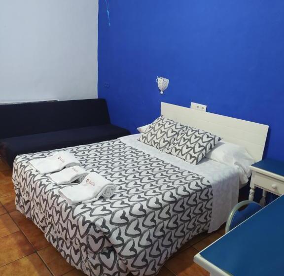 هاستل The Dreamers&co