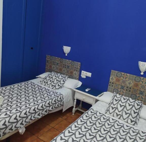 هاستل The Dreamers&co