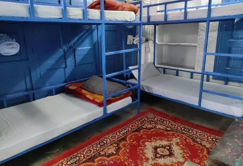 Bed and Breakfast Bob Hostel