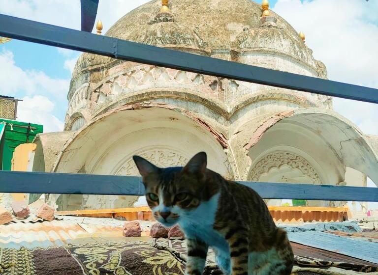 Nocleg ze śniadaniem Bob Hostel