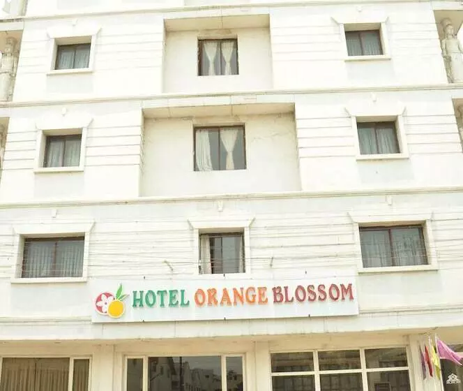 هتل Orange Blossom