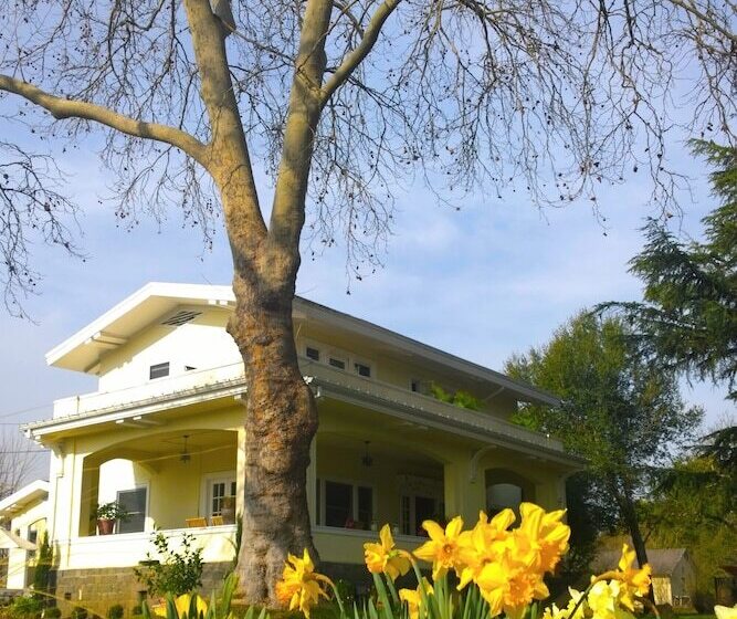 مبيت وإفطار Casa Bella