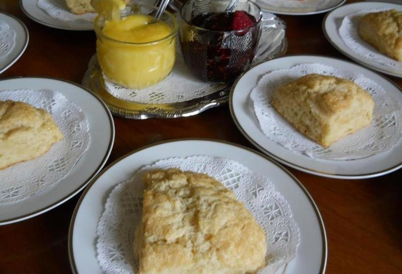 Blue Gull Inn Bed And Breakfast