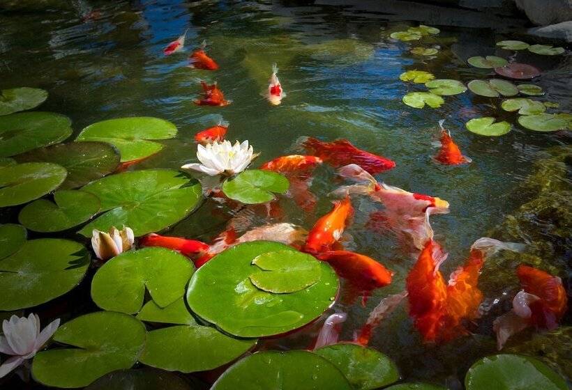 هتل Dive Palm Springs