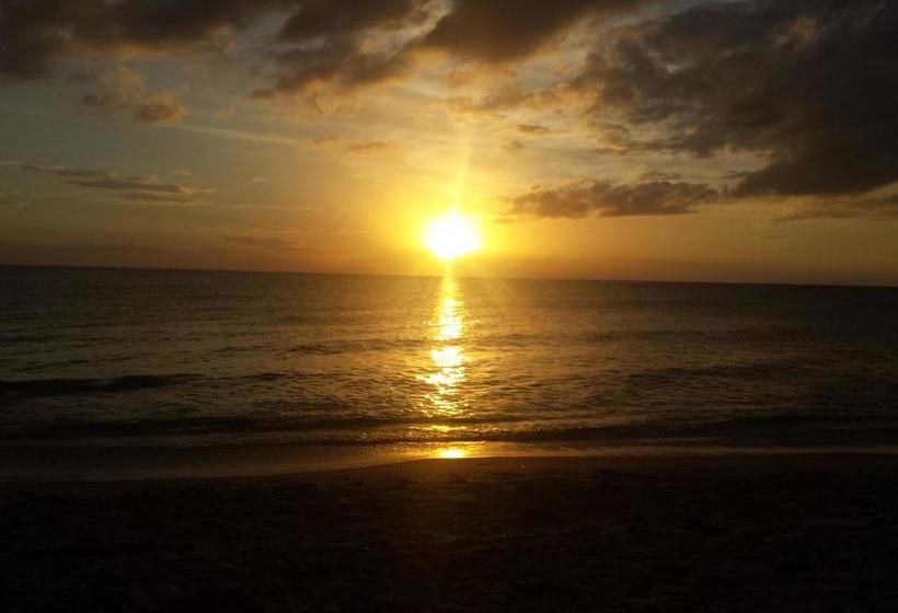 מוטל Tropical Bay Suites