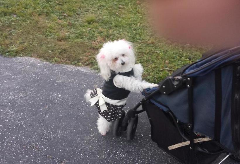 מוטל Tropical Bay Suites