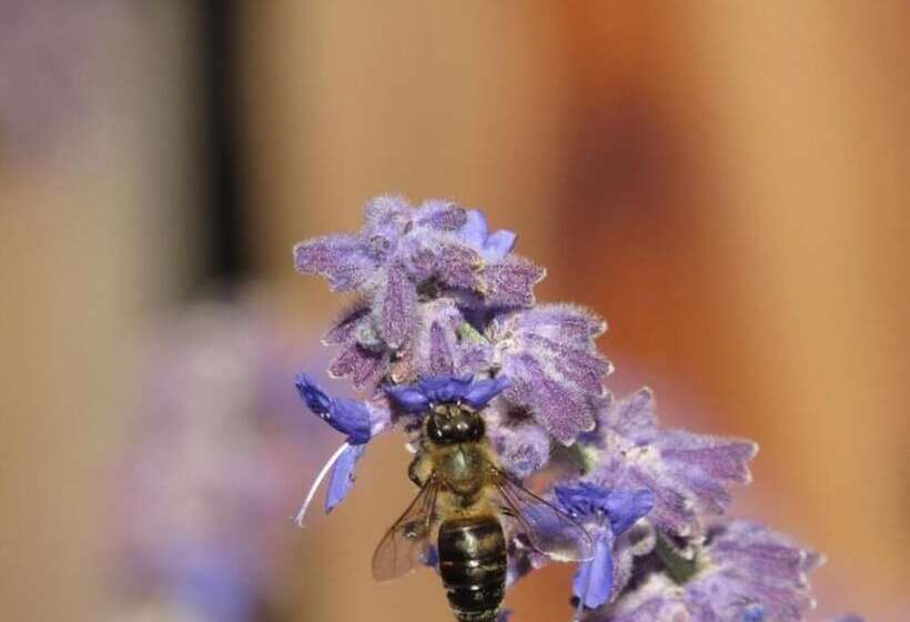 Walla Walla Garden Motel