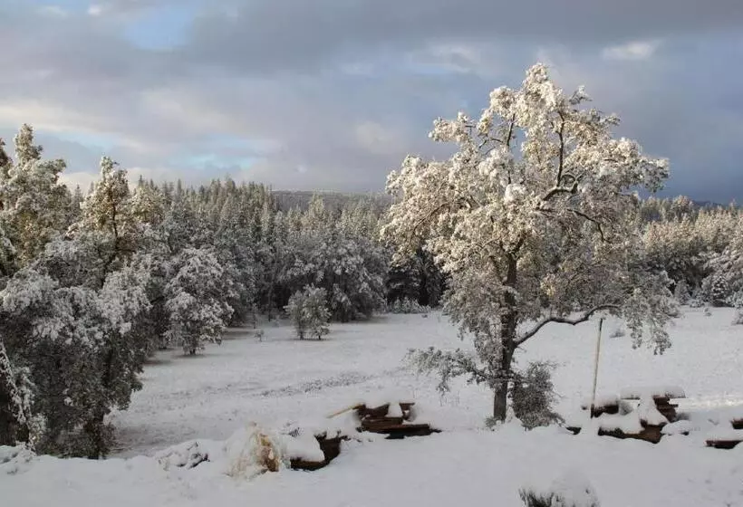 Aamiaismajoitus (B&B) Red Tail Ranch