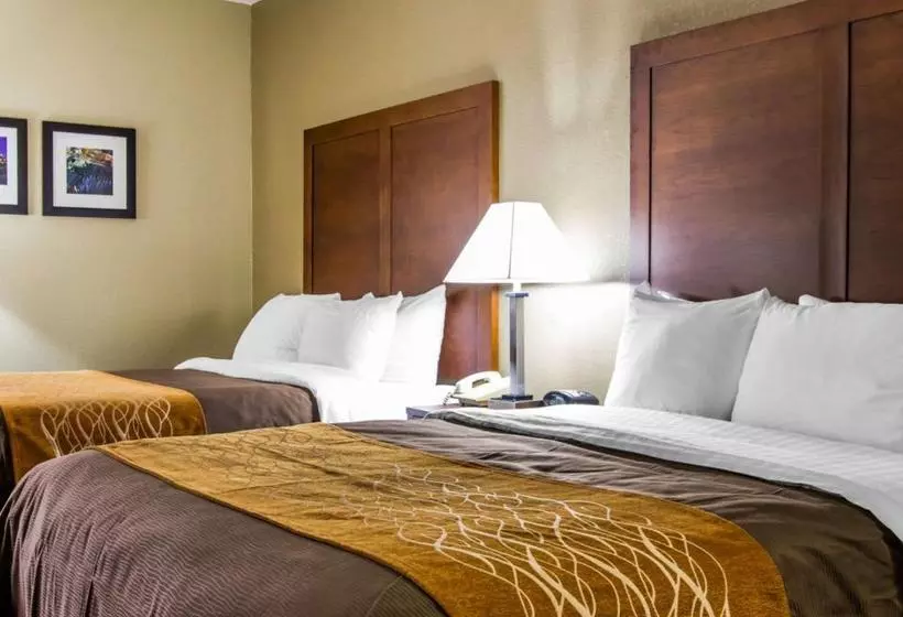 ホテル Americinn By Wyndham Memphis East
