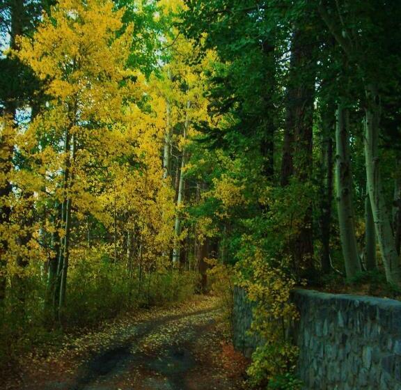 هتل Lake Front Cabins