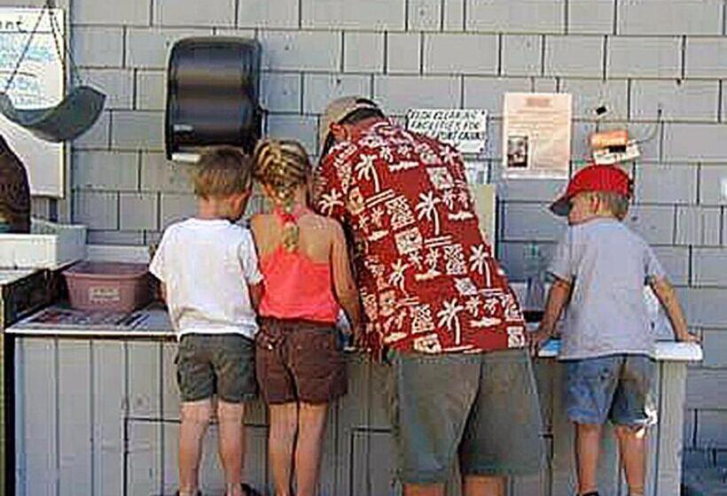 هتل Lake Front Cabins