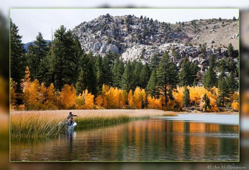 هتل Lake Front Cabins