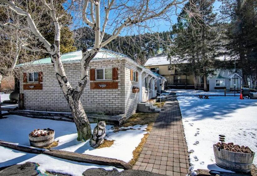 هتل Lake Front Cabins