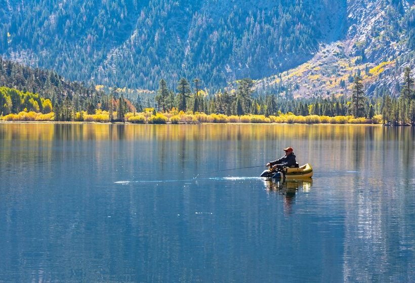 هتل Lake Front Cabins