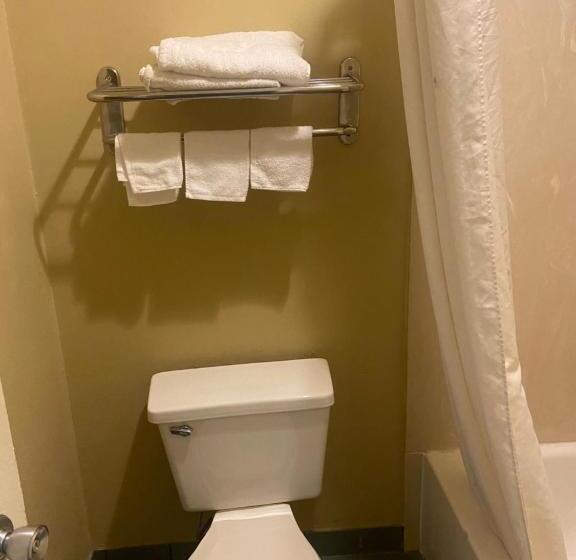 모텔 Americas Best Value Inn