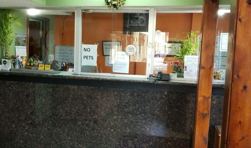 מוטל Executive Inn