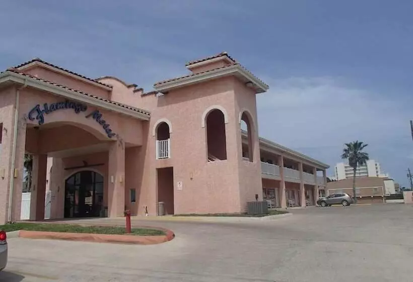 モーテル Flamingo Inn
