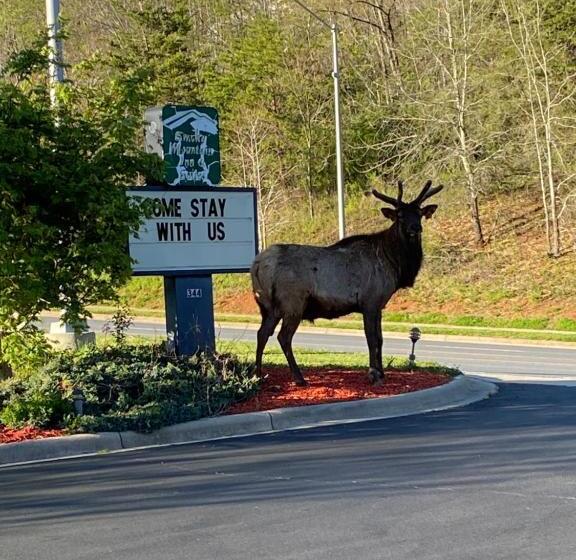 فندق على الطريق Smoky Mountain Inn & Suites