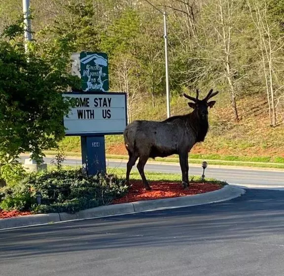 モーテル Smoky Mountain Inn & Suites