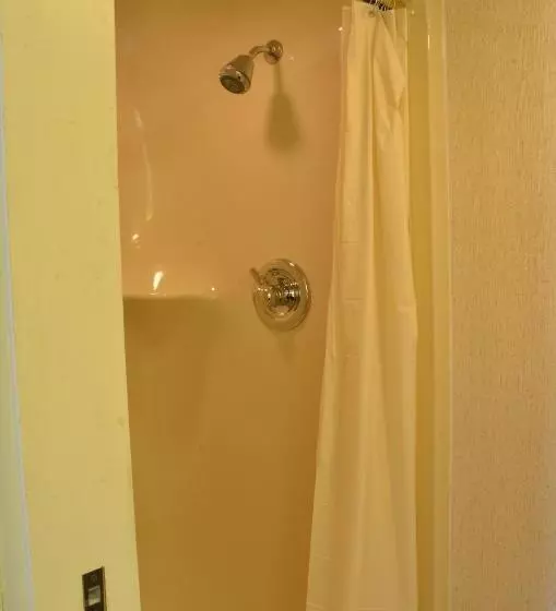 モーテル Smoky Mountain Inn & Suites