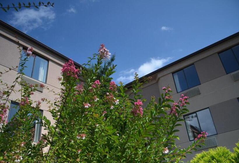 فندق على الطريق Smoky Mountain Inn & Suites