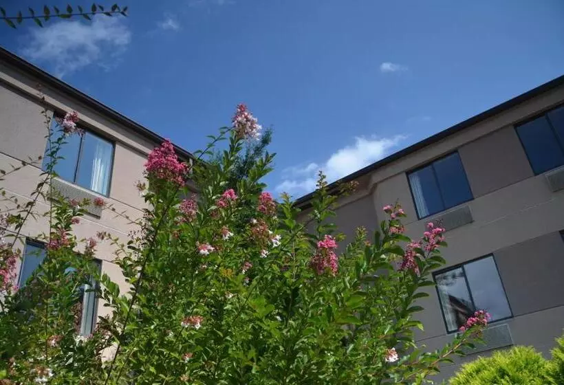 モーテル Smoky Mountain Inn & Suites