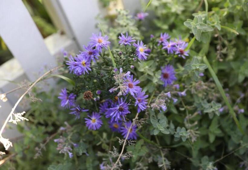 An English Garden Bed & Breakfast