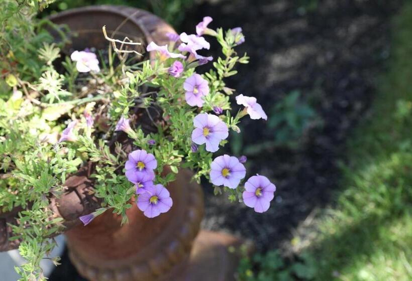 An English Garden Bed & Breakfast