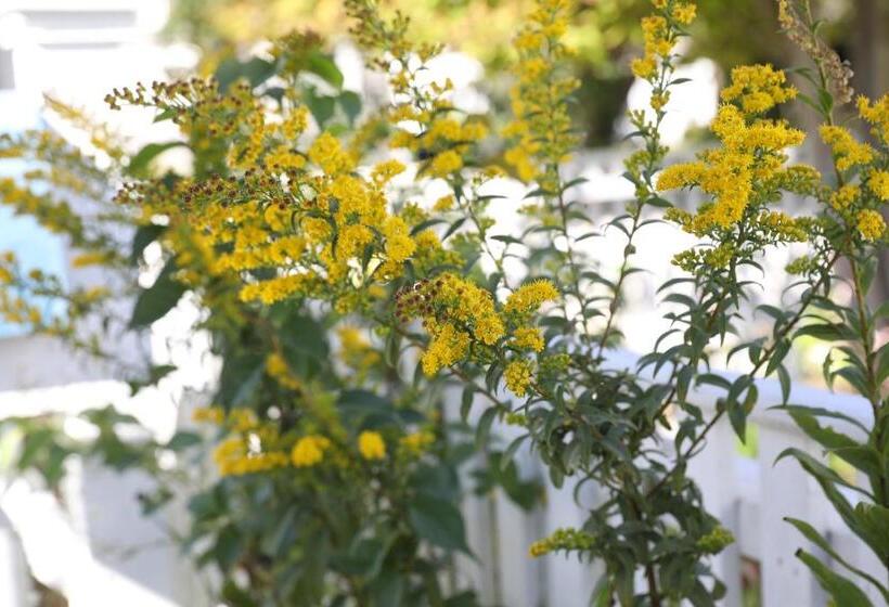 An English Garden Bed & Breakfast