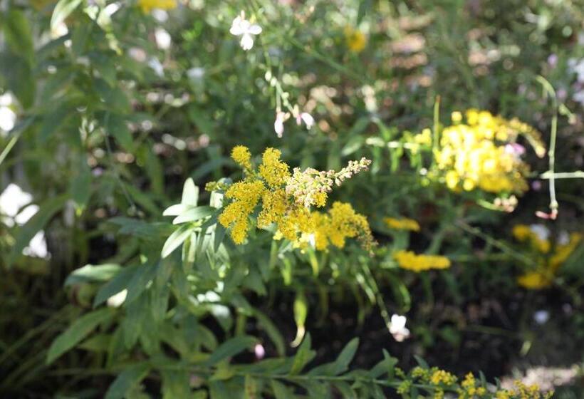 An English Garden Bed & Breakfast