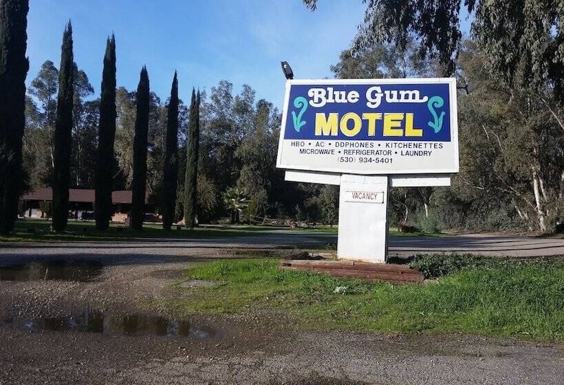 Blue Gum Motel