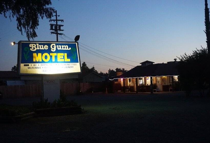Blue Gum Motel
