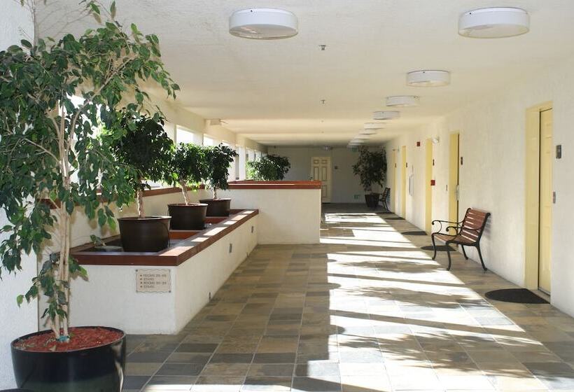 فندق Airport Inn