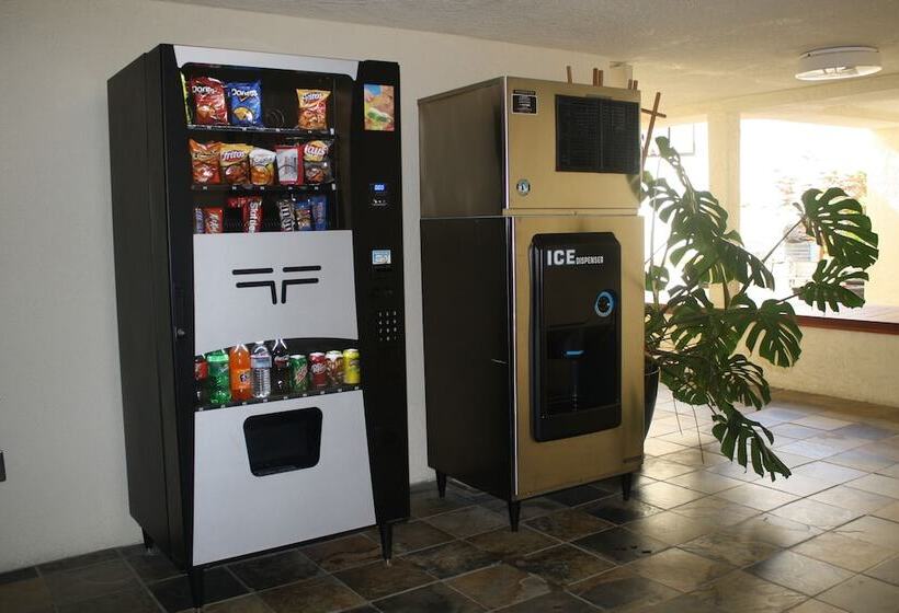 فندق Airport Inn