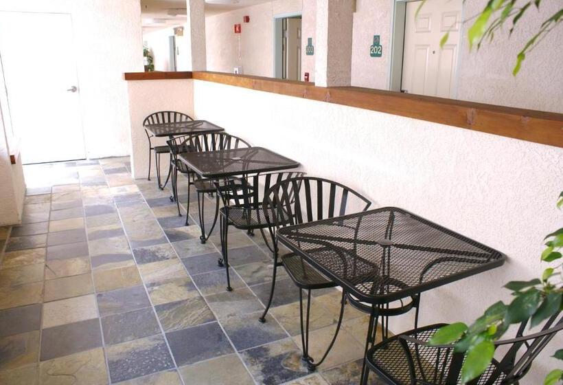 فندق Airport Inn