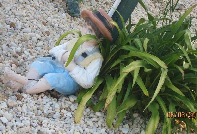 فندق High Springs Country Inn