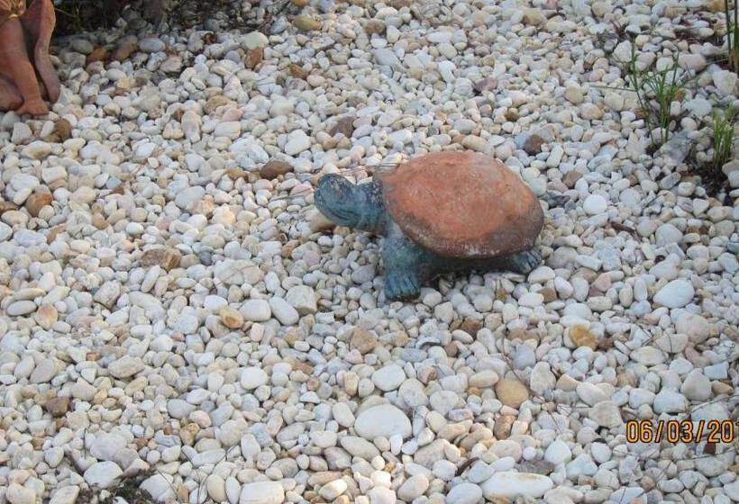 فندق High Springs Country Inn