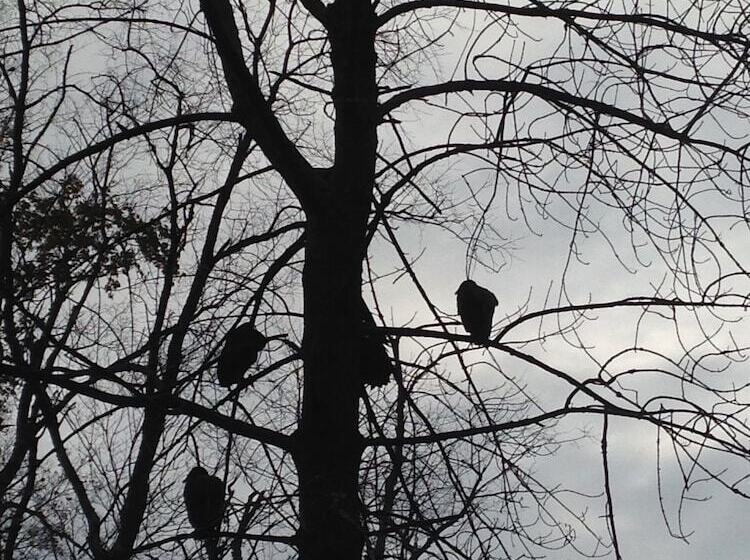 酒店 Hilltop House Bed & Breakfast