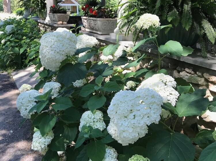 酒店 Hilltop House Bed & Breakfast