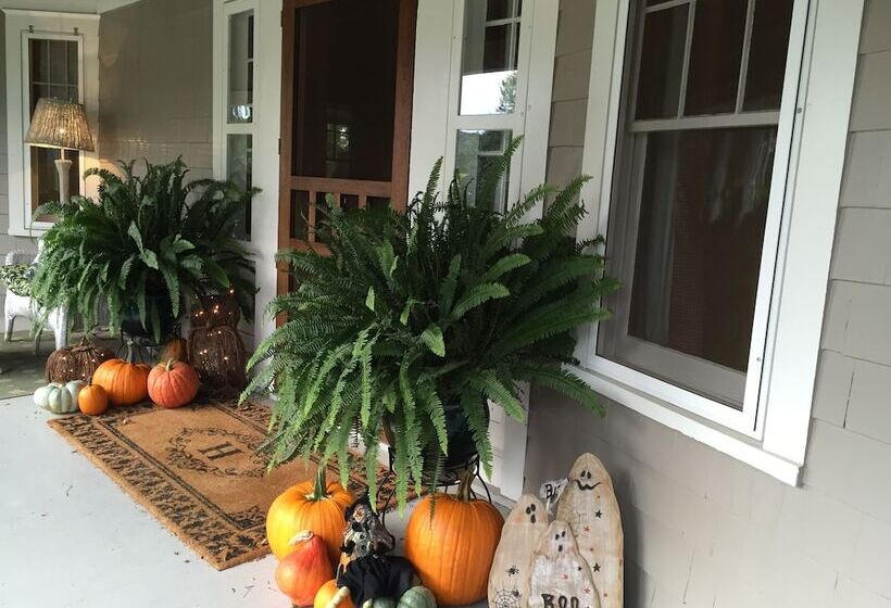 酒店 Hilltop House Bed & Breakfast